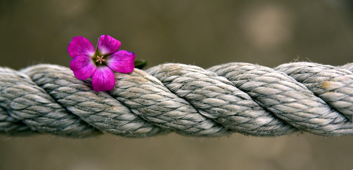 Azure Ropes Rope Care for Your Natural Fibre Ropes – The Azure Strand